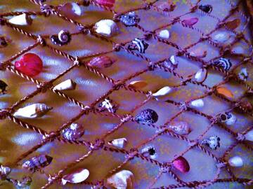 Public Photo of L-OraPiuLunga