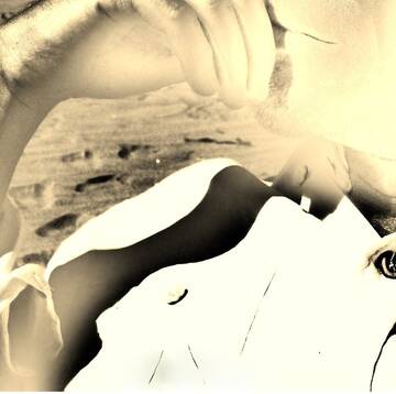 Public Photo of L-OraPiuLunga